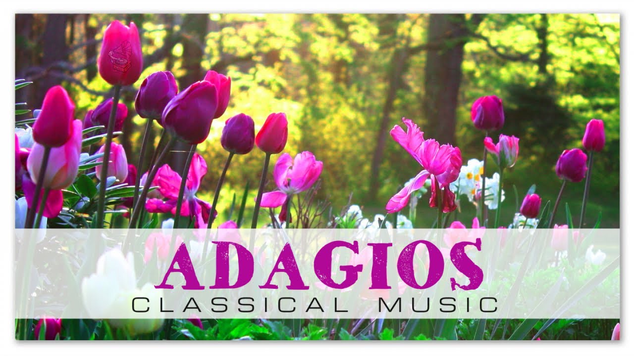 Adagios Classical Music | Albinoni Vivaldi Donizzetti - Relaxing Soothing Meditation Music Adagios Classical Music | Albinoni Vivaldi Donizzetti - Relaxing Soothing Meditation Music
