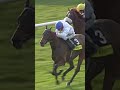 Veteran Caracciola defies his age in the 2008 Cesarewitch 🕰️