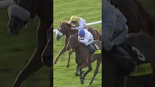 Veteran Caracciola defies his age in the 2008 Cesarewitch 🕰️