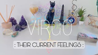 Virgo JUNE | They're Holding On Strong & Worried You Wont Accept Them! - Virgo Tarot Reading
