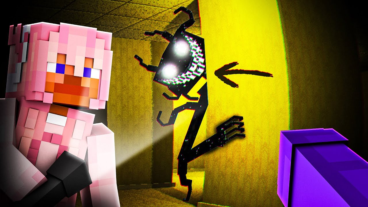 Entro nelle BACKROOMS di Minecraft... (con @Gulag )