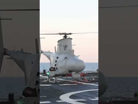 वीडियो: रूसी बेड़ा। रूसी संघ की नौसेना