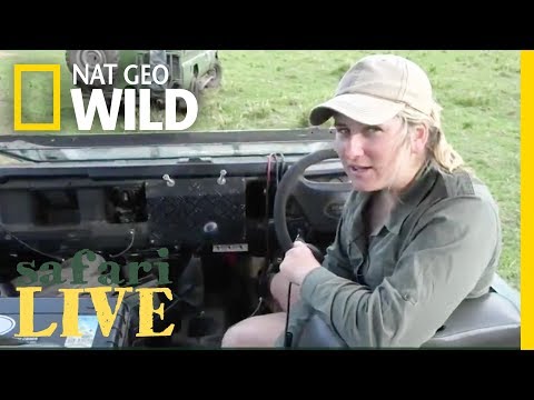 WATCH NOW: Safari Live | National Geographic - WATCH NOW: Safari Live | National Geographic