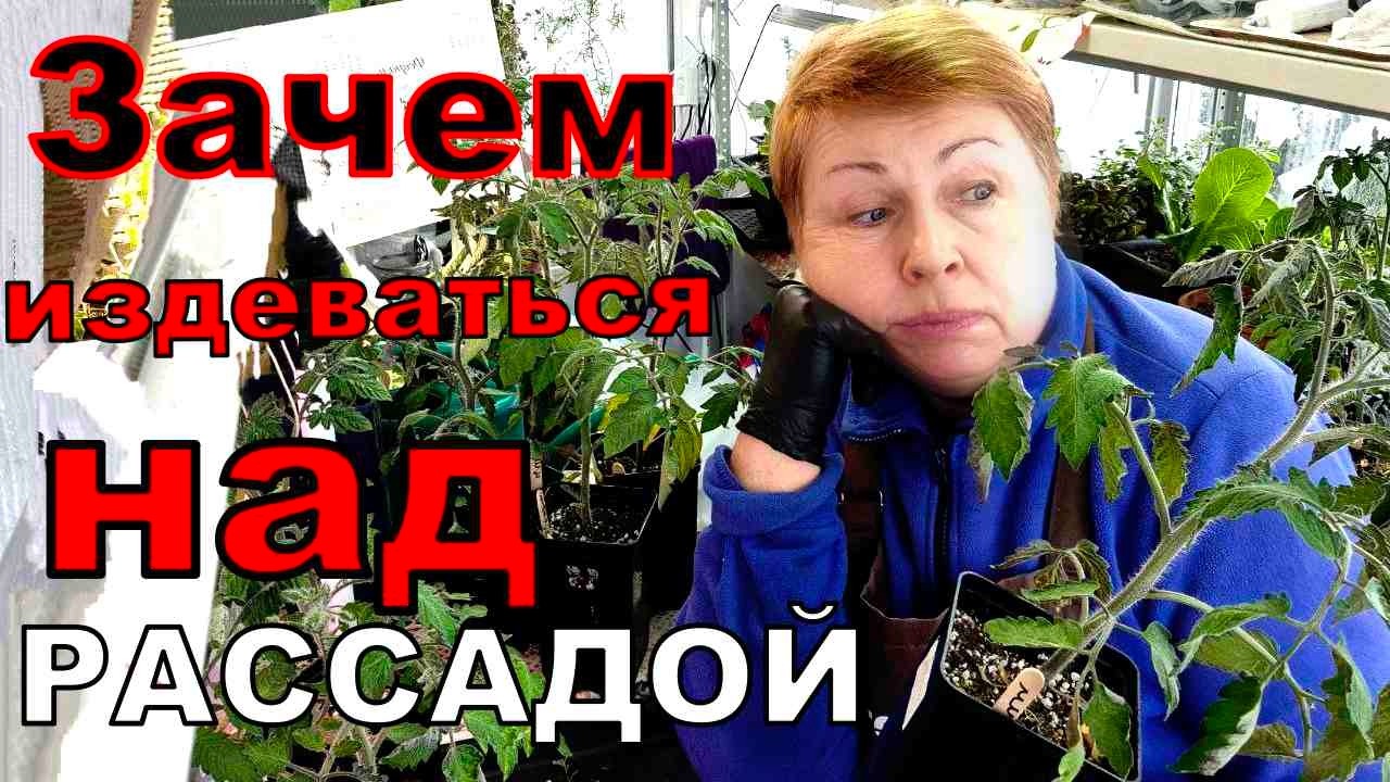 Почему я 