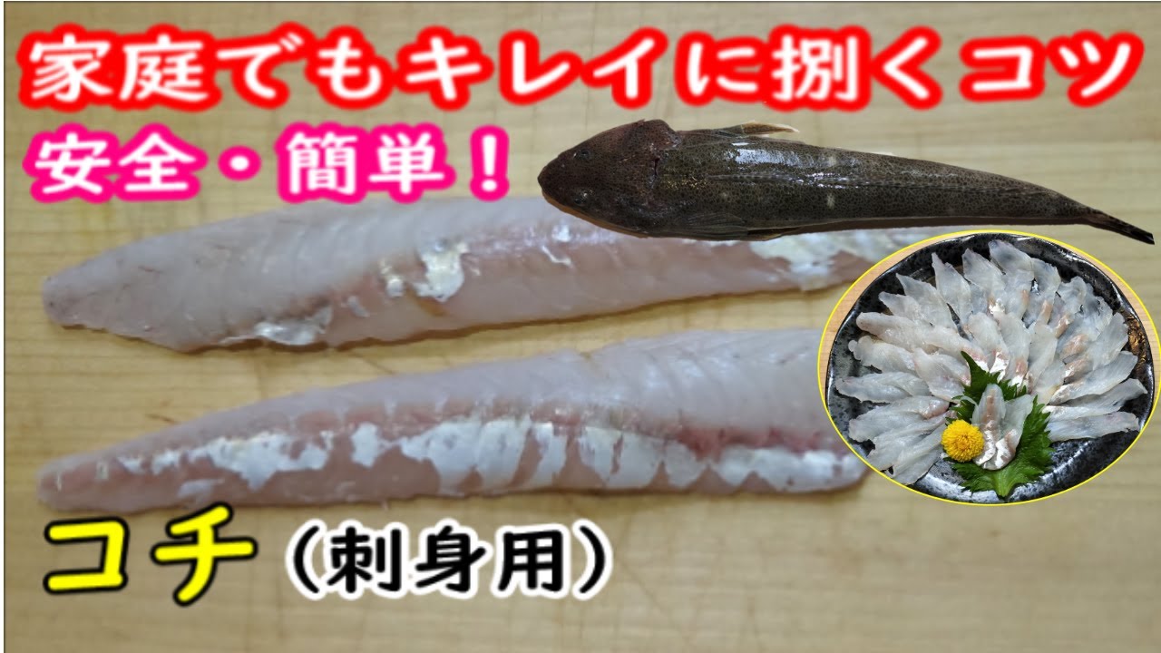 コチは手順より考え方を変えるだけで簡単、キレイ、安全にを捌く方法#コチ捌き方#コチ刺身#コチ捌き方簡単 - YouTube