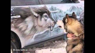 Bozkurtlar Yurdu Azerbaycan