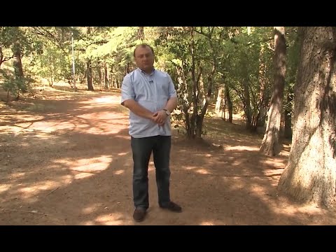 \"ოცნება\" შალვა რამიშვილის დასაცავად | ბრალდებების და საჩივრების მიუხედავად, შსს გამოძიებას არ იწყებს