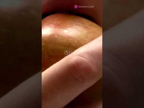 الكوكمولا مزيج العنب والتفاح المدهش اكسبلور فاكهة تفاح زراعة وصفات    