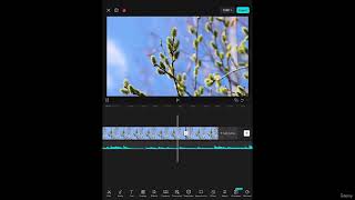 CapCut Split Tool Mastered: Fast Cutting & Trimming for Beginners