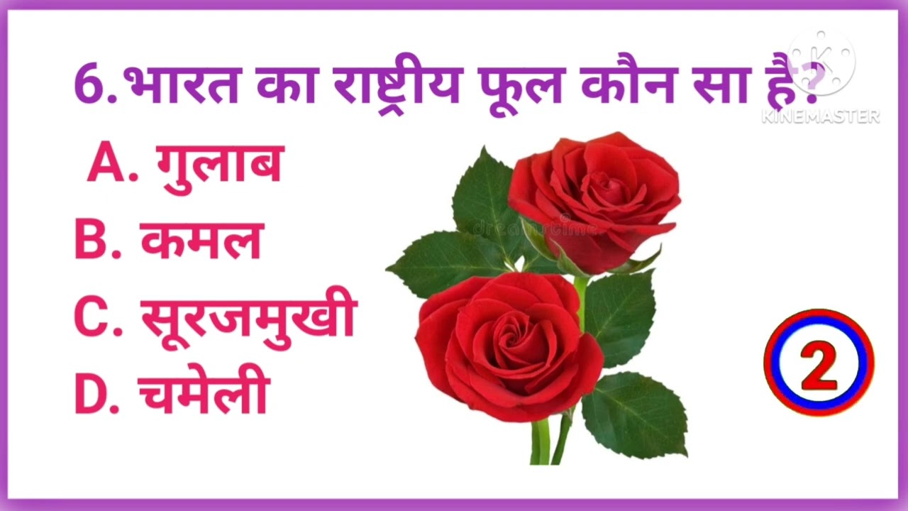 GK question answer ‼️ GK quiz ‼️ GK in Hindi ‼️ GK question and answer 
