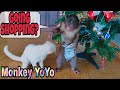 Monkey Baby YoYo receives a special Christmas gift from Ms Sallygugu
