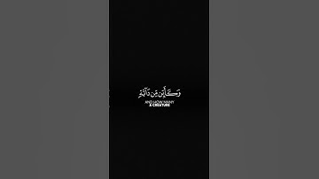 ‏القارئ عامر السعيدي