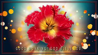 🌞Good morning! God bless you!🌞