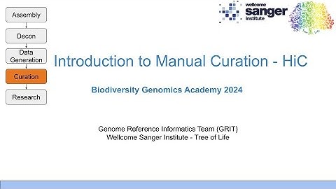 Introduction to Manual Curation with HiC (BGA24)