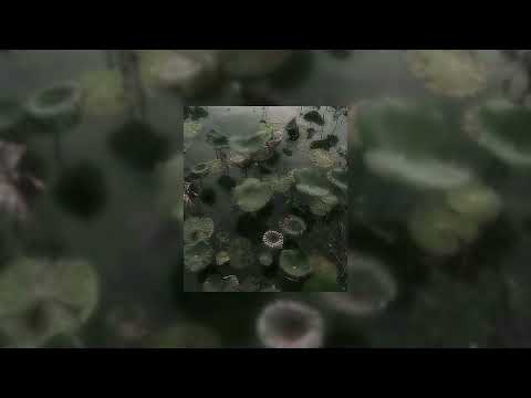 Moral Of The Story Sped Up