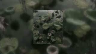 moral of the story (sped up)