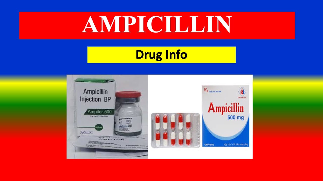 AMPICILLIN (Beta-lactam antibiotic)- Generic Name,Precautions , How to use, Side Effects - SPEECH