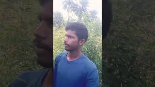 New Santhali short video Manjhi kuwak Mari dhinki ๐ฅ๐ฅ๐ฅ