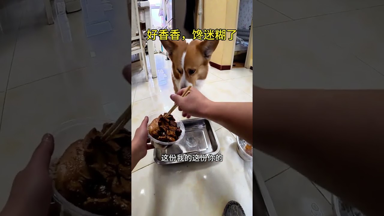 Wangcai's First Taste of the Hype-Worthy Da Liu Fan Bao Jia Pork