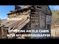 METAL DETECTING AN OLD CABIN WITH MY WHIPPERSNAPPER