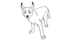 How to Draw a Caracal / Как нарисовать рысь How to Draw a Caracal / Как нарисовать рысь