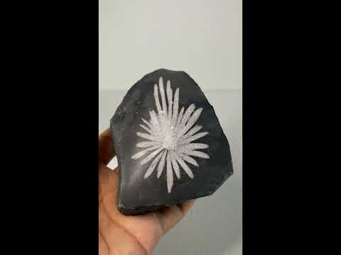 Freeform   Chrystanthemum   2