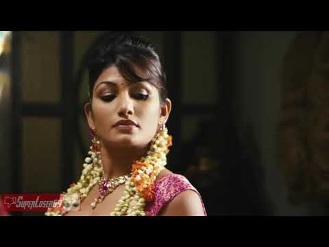 dad-mami-nahi-hai-gar-pe-sexi-song