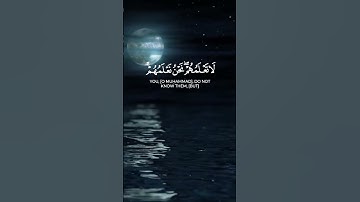 سورة التوبة الآية 101 بصوت القارئ محمد الفقيه