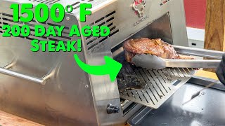 200 Day Dry Aged Ribeye Steak Grilled at 1500 Degrees!  What Happens? Blazing Bull Grill