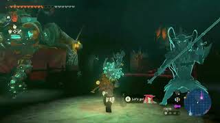 Busus Lightroot, West Necluda Depths The Legend Of Zelda Tears Of The Kingdom