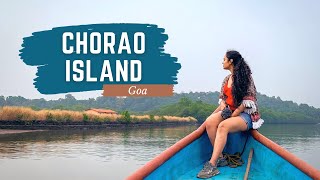 Exploring Chorao Island | Local Food, Bird-watching, Feni Tasting, Hidden Spots | Solo Girl in Goa