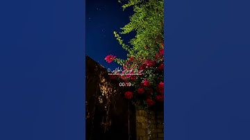 سورة الناس كاملة القارئ مشاري العفاسي #قران  #اكتب_شي_توجر_عليهquran_alkarim #quran# مشاري_العفاسي#