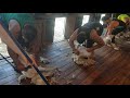 Shearing at Awatoitoi Wairarapa 2018