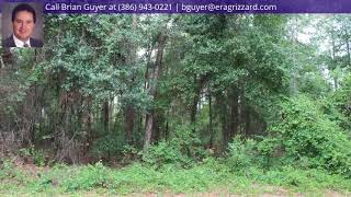 South Island Drive Dr, Paisley, FL 32767 - MLS #V4718653