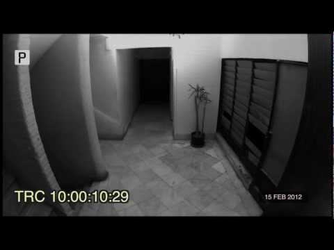 شبح يظهر من خلال كاميرا مراقبة لشركة بالمعادي  