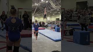 Xcel Sapphire 2024 Twisted Moose - Bars