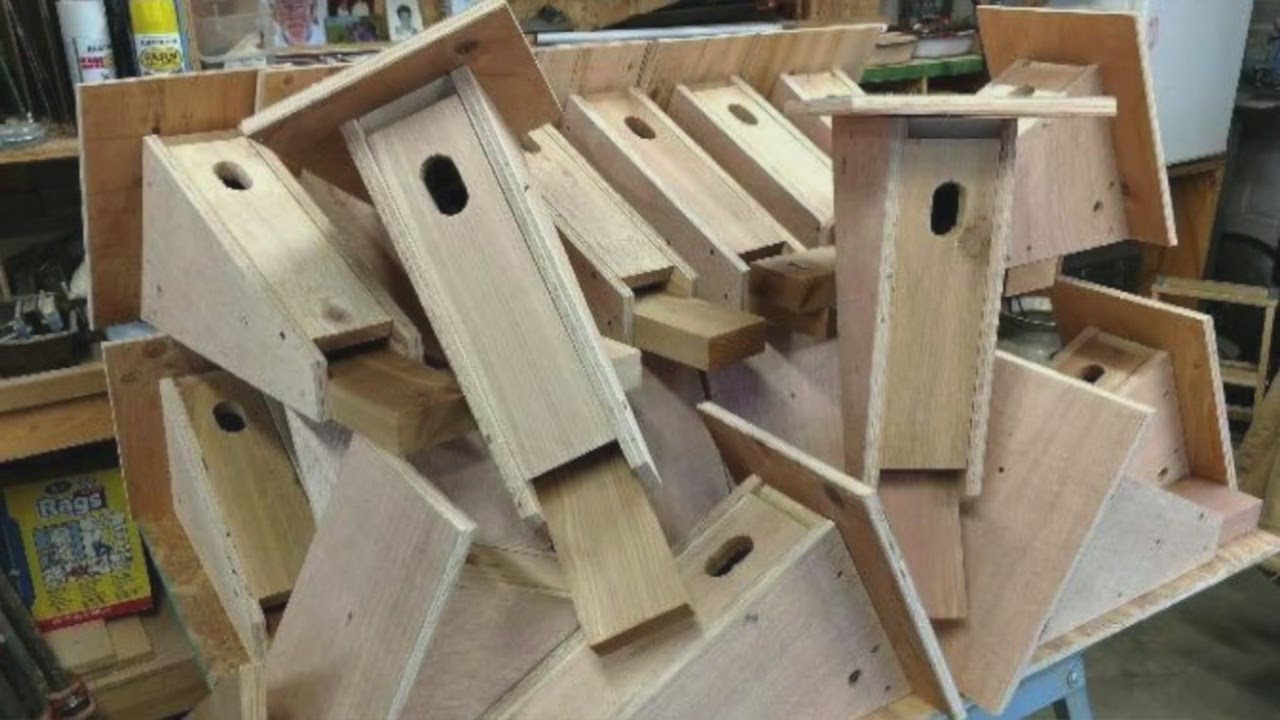 Man Turns Grief For Wifeu0027s Death Into Hundreds Of Bluebird Houses Man Turns Grief For Wifeu0027s Death Into Hundreds Of Bluebird Houses