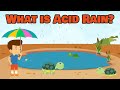 What is Acid Rain? | Acid Rain | Video for Kids