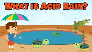 What is Acid Rain? | Acid Rain | Video for Kids