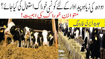 Feeding of dairy animals and benefits of balanced ration