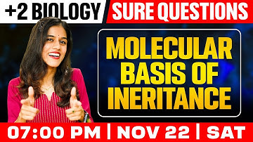 Plus Two Biology | Molecular Basis Of Inheritance  | Sure Questions | Exam Winner
