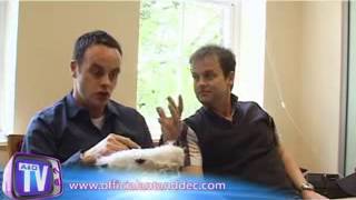 Ant  Dec - QA 2009 - Part 2