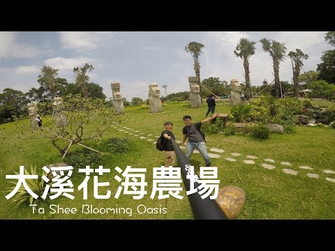 大溪花海 農場 一日遊 Taoyuan Daxi 「桃園」【CHuan遊記】