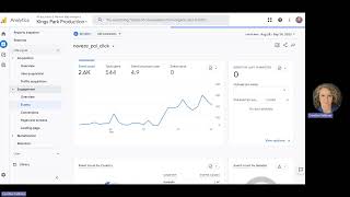 naveze visitor Analytics Demo Video