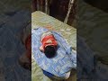 sleeping tym