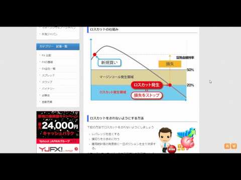 【日本FX】 為替 手数料 比較　FX ロスカット ≪1日5分で月収100万円≫
