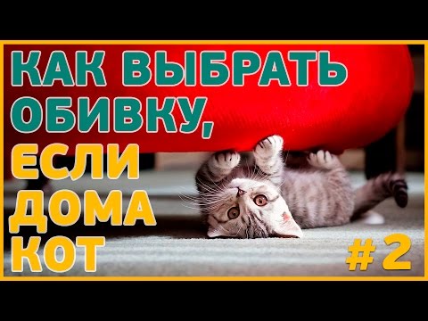 #2 - Мебельные ткани антикоготь - какую мебельную ткань выбрать если дома кот