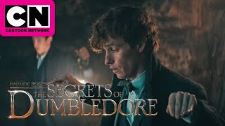 Girando | Primer Vistazo | Animales Fantásticos: Los Secretos de Dumbledore | Cartoon Network