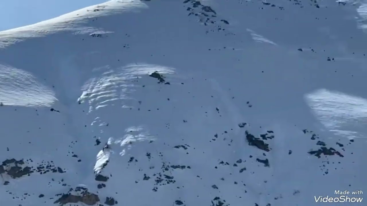 Haşim tokdemir ve Abuzer aşkınses düeti 