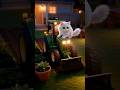 #kucing #mushuklar #catvideos #billi #cartoon #lovely
